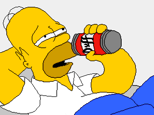 Homer and Duff